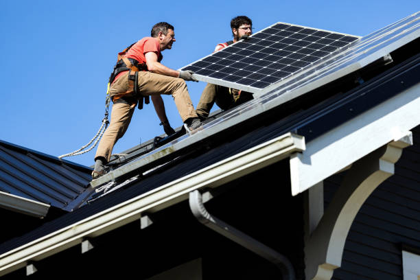 Best Roof Moss and Algae Removal  in Marathon, FL